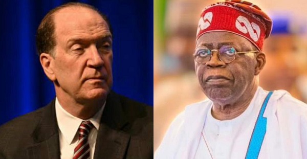 Ex-World Bank president David Malpass hails Tinubu’s economic policies as bullish for Nigeria