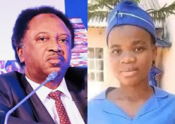 Former Kaduna lawmaker Shehu Sani criticizes linking Anambra student’s forgery confession to 2023 election fallout