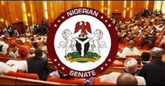 BREAKING: Senate Confirms Opeyemi Bamidele and Others as Principal Officers