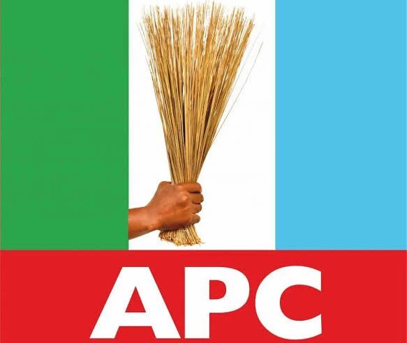 OYO APC: A Time to Focus on the Bigger Picture – Oyo APC Progressives Youth Stakeholders