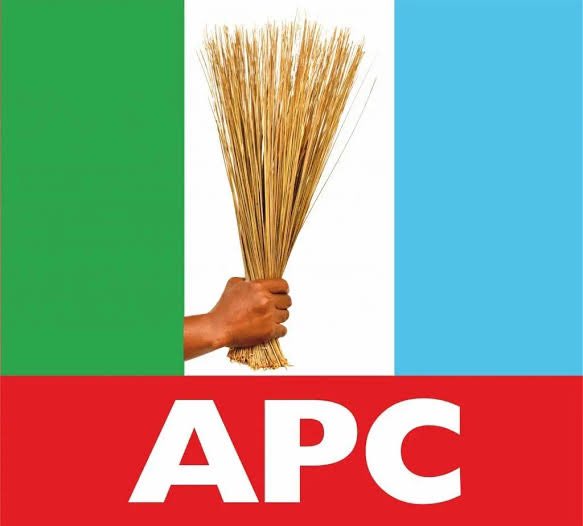 OYO APC: A Time to Focus on the Bigger Picture – Oyo APC Progressives Youth Stakeholders