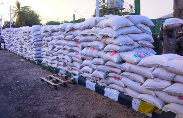 Fuel Subsidy Removal: Kwara Govt Slashes Maize Price by 55.5% for Poultry, Fish Farmers