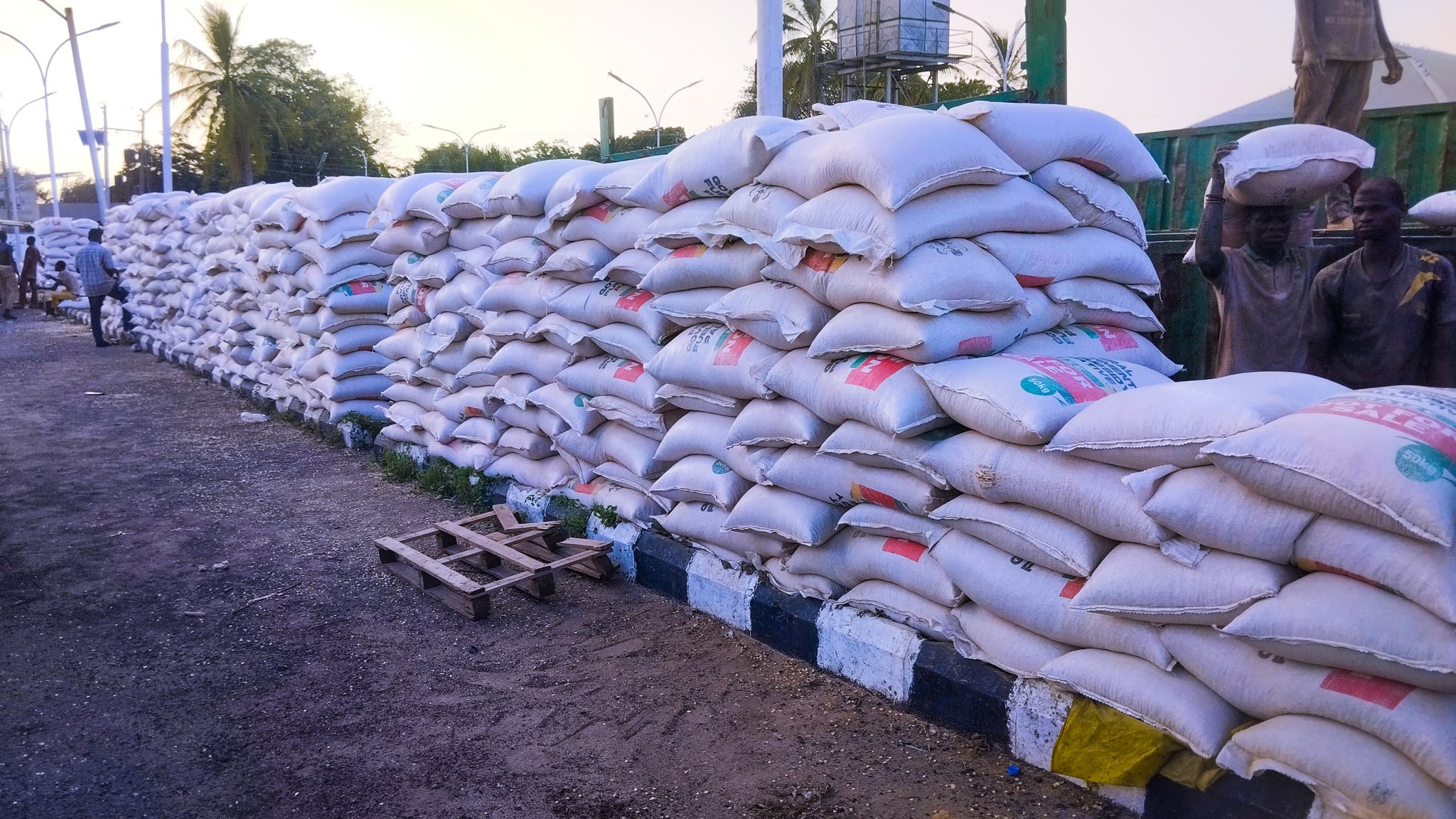 Fuel Subsidy Removal: Kwara Govt Slashes Maize Price by 55.5% for Poultry, Fish Farmers