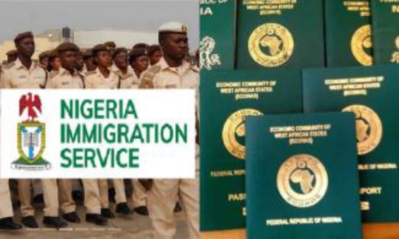 Nigerian Immigration Probes Shocking Passport Destruction at Lagos Airport