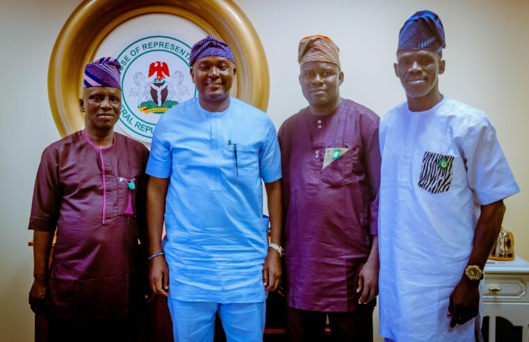 PHOTO NEWS: Akin Alabi Hosts Egbeda Legislative Leaders in National Assembly