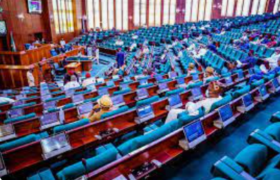 Rep Withdraws Mandatory Voting Bill, Cites Need for Broader National Consensus