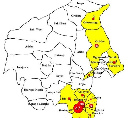 Oyo North 2027: Your Endorsement Lacks Merit – Group Tells Oke Ogun 26 Ex-Local Government Chairmen