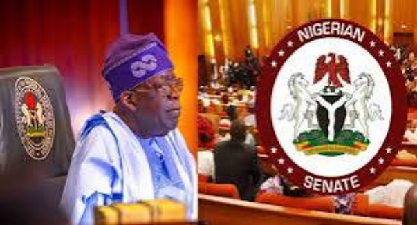 Tax Reform Bill: Akpabio Hails Consensus as Bill Moves to Tinubu For Assent