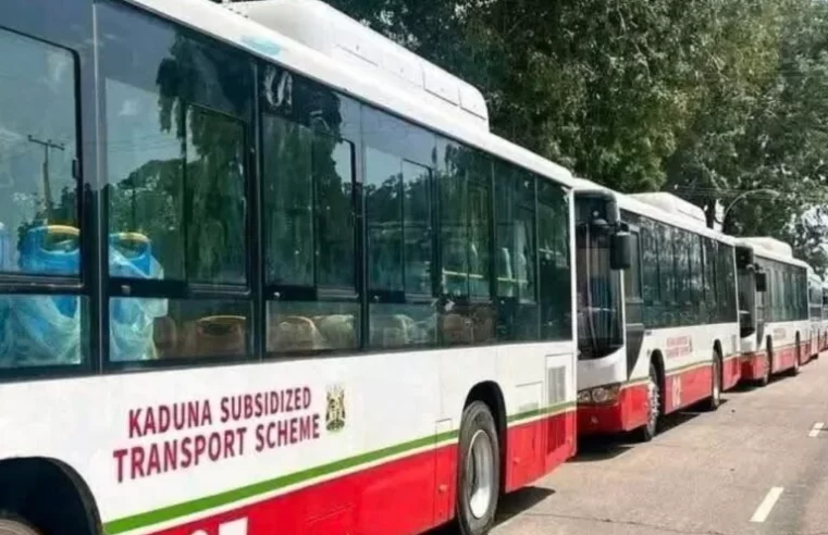 CNG Buses: Kaduna Offers Free Transport for Students, Civil Servants, and Security Personnel 