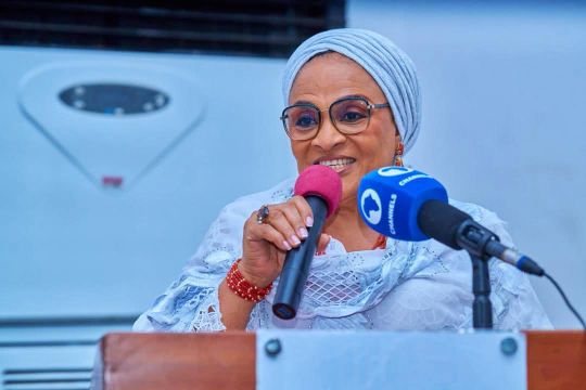 ‎Diplomatic Service: Chief (Mrs) Ajimobi Heads to Austria as Tinubu Assigns 65 Ambassadors 