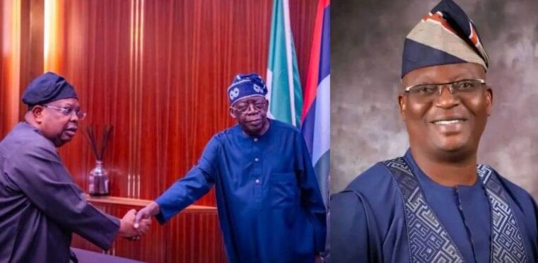 ‎Minister of Power: Chief Tegbe’s Appointment a Round Peg in a Round Hole — AWA