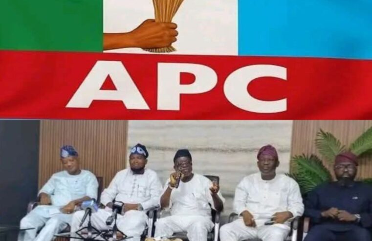 Oyo APC Gubernatorial Aspirants Pass Vote of No Confidence in State Chairman, Demand His Resignation
